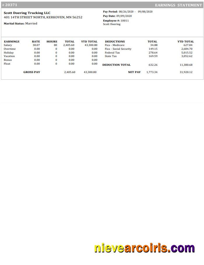 Trucking Company Earnings statement